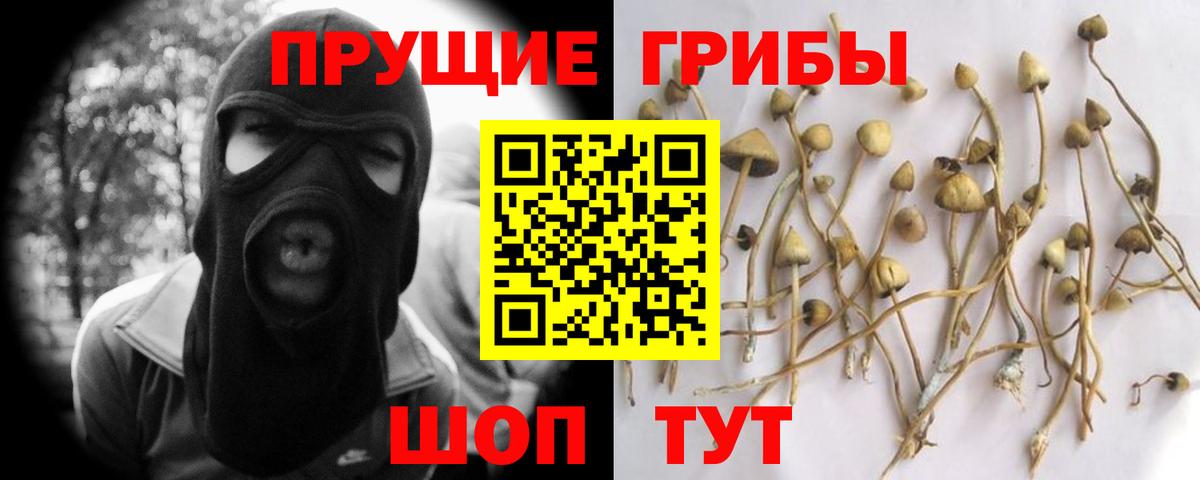 Галлюциногенные грибы мухоморы  Галлюциногенные грибы мицелий  Вход с VPN  Магнитогорск 